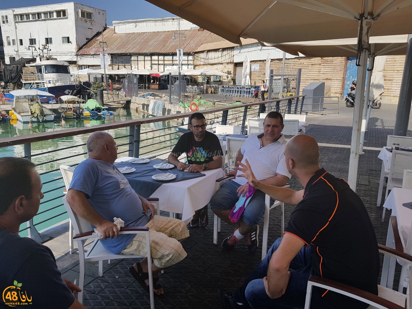 sayaden kolna knestet (5).jpg